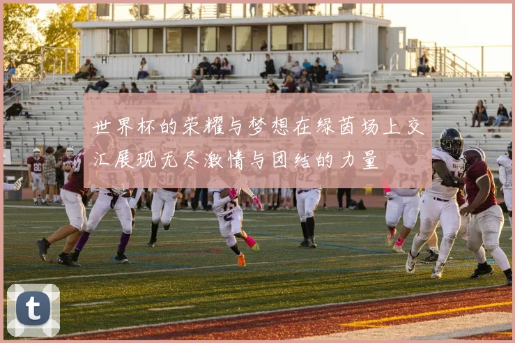 世界杯的荣耀与梦想在绿茵场上交汇展现无尽激情与团结的力量