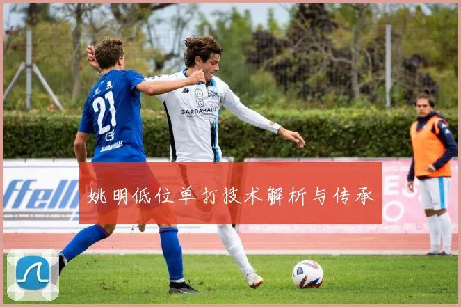 姚明低位单打技术解析与传承